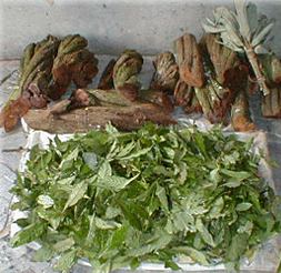 ayahuasca prep1