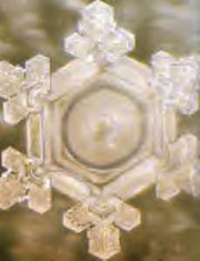 Images of Water Crystals