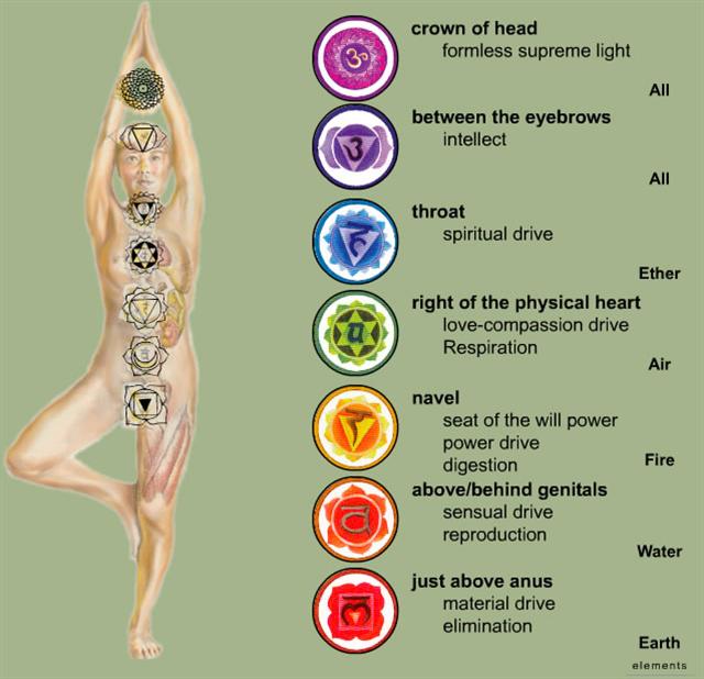 kundalini-chakras