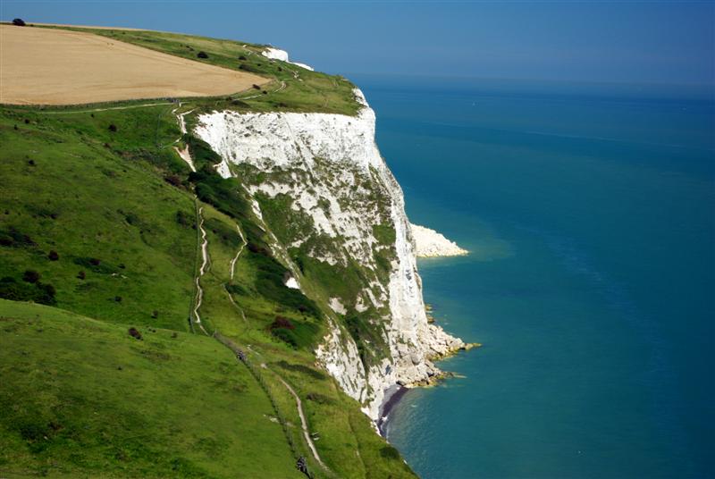 dover