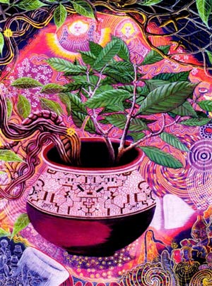 Ayahuasca1