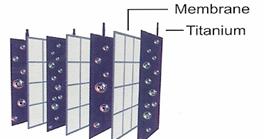 JP107 Titanium-Platinum Ionization Plates