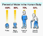 how water declines as we age