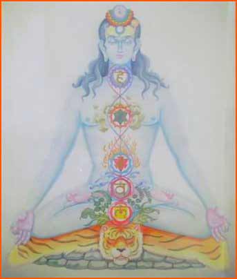Yogi in Meditation: The Path of Self Realization