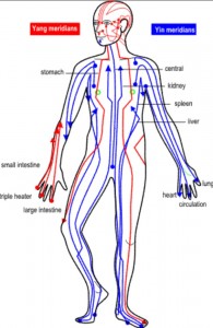 meridians