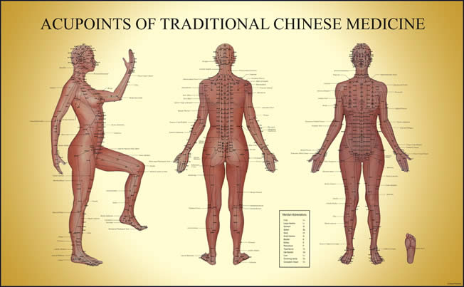 Shiatsu Tsubo Chart